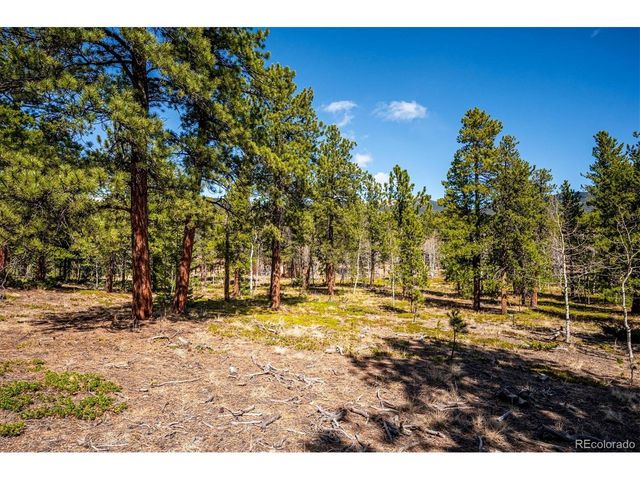 55 W Crosscut, Bailey, CO 80421