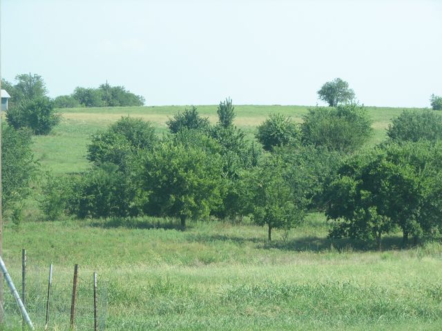 389 Hilltop Trail, New Fairview, TX 76078