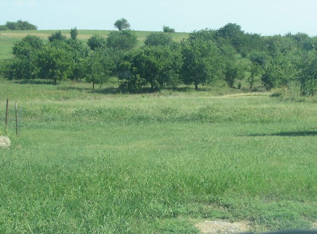 389 Hilltop Trail, New Fairview, TX 76078