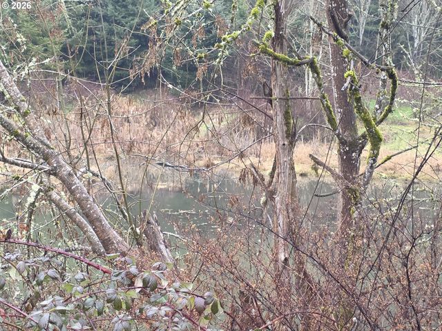 507 N 19TH Ave 49, Cornelius, OR 97113