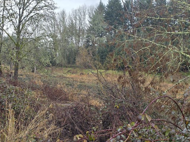 507 N 19TH Ave 49, Cornelius, OR 97113