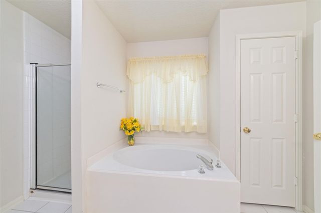 21318 Timber Pines Drive, Spring, TX 77388