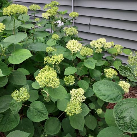 1612 Richards Street, La Porte, IN 46350