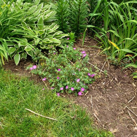 1612 Richards Street, La Porte, IN 46350