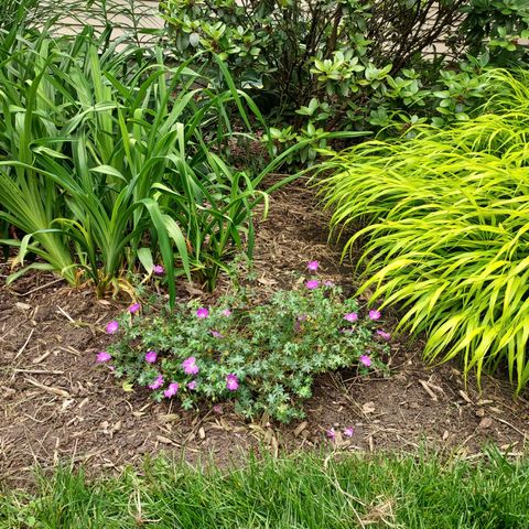 1612 Richards Street, La Porte, IN 46350