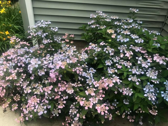 1612 Richards Street, La Porte, IN 46350