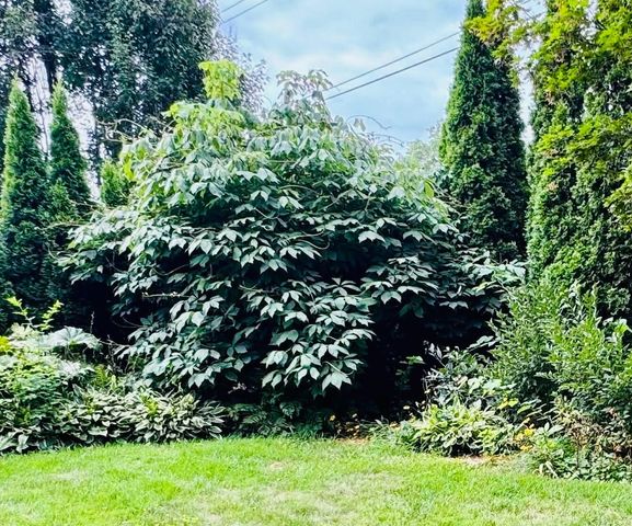 1612 Richards Street, La Porte, IN 46350