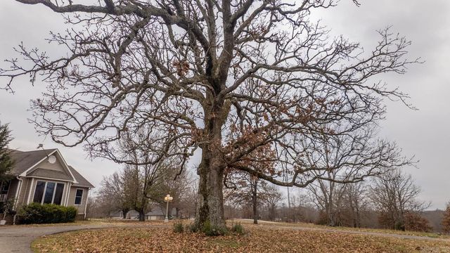667 County Road 364, Thayer, MO 65791