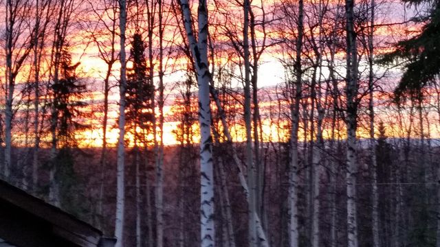 299 EAGLE RIDGE ROAD, Fairbanks, AK 99712