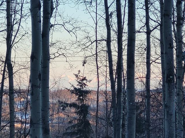 299 EAGLE RIDGE ROAD, Fairbanks, AK 99712