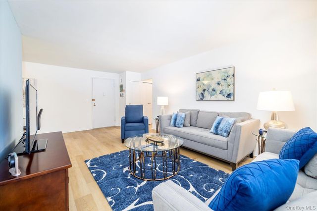 3 Birchwood Court 2J, Mineola, NY 11501