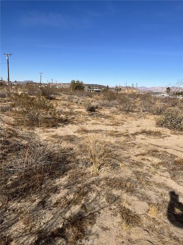 915 Dakota Lane, Landers, CA 92285