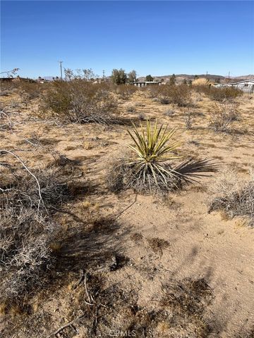 915 Dakota Lane, Landers, CA 92285