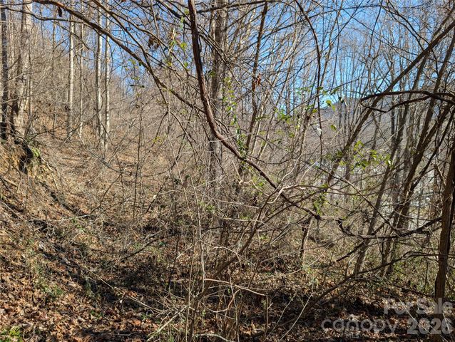 00 Great Smoky Mountain Expy Highway, Waynesville, NC 28786
