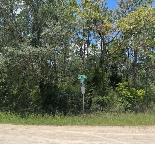SW 67 LANE & SW 131 CIR, Ocala, FL 34481