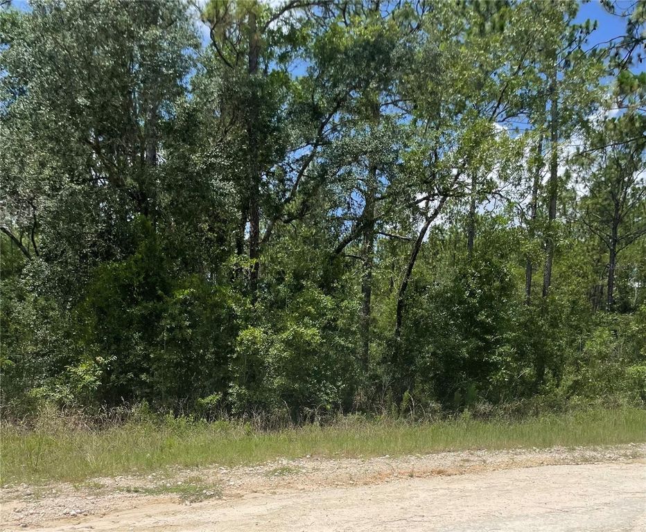 SW 67 LANE & SW 131 CIR, Ocala, FL 34481