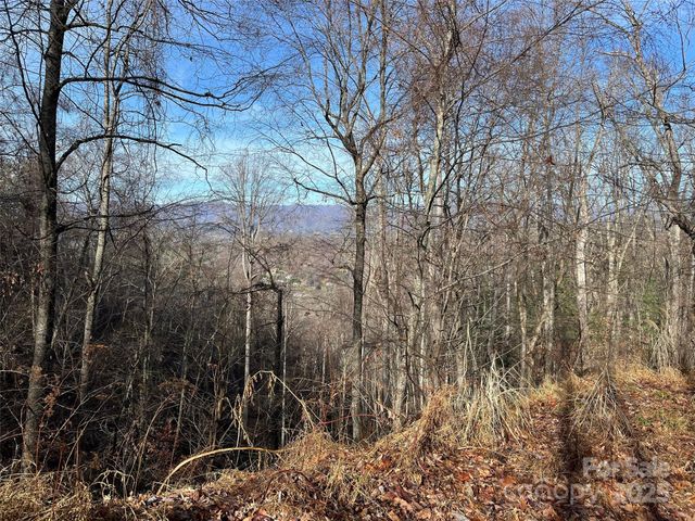 1182 Seven Glens Drive, Weaverville, NC 28787