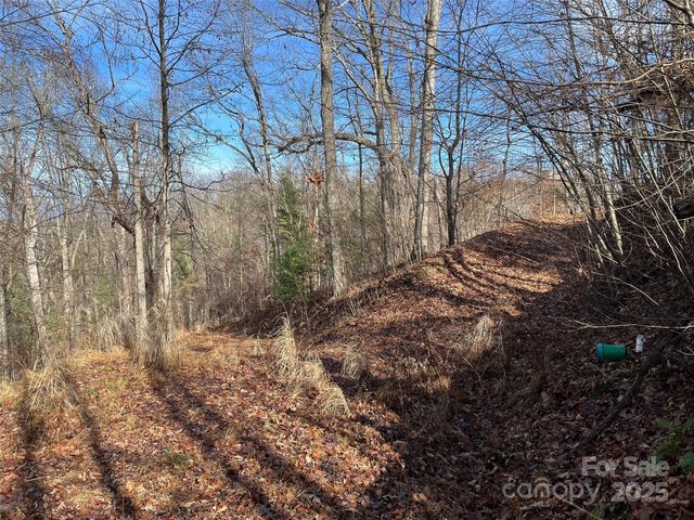 1182 Seven Glens Drive, Weaverville, NC 28787