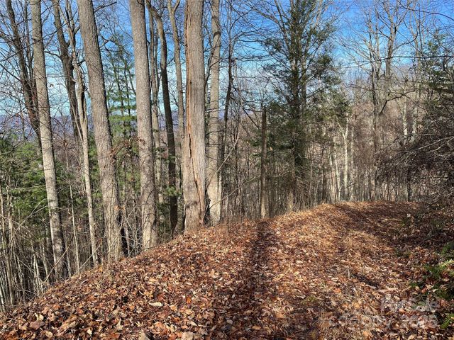 1182 Seven Glens Drive, Weaverville, NC 28787