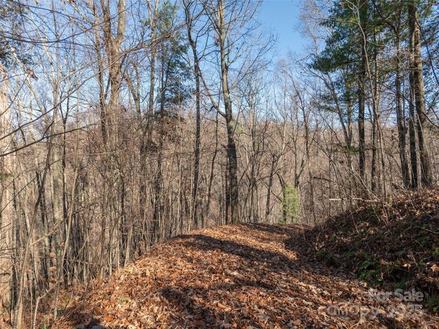 1182 Seven Glens Drive, Weaverville, NC 28787