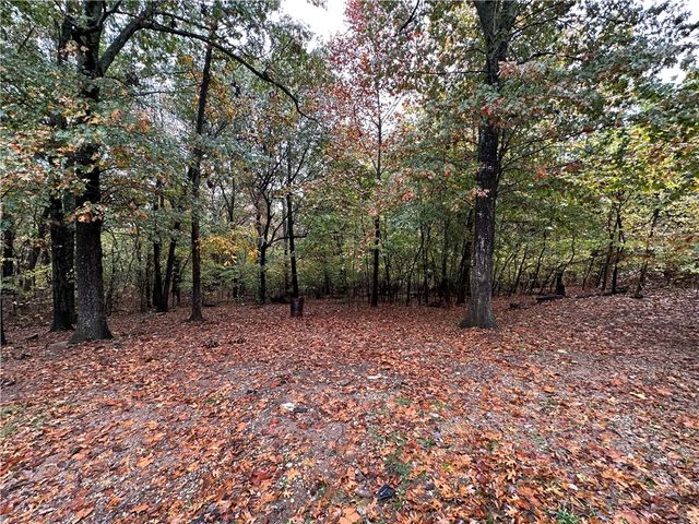 10982 Tony Mountain Road, Fayetteville, AR 72701