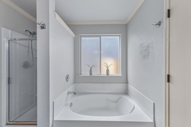 24707 Magnolia FLS, San Antonio, TX 78261