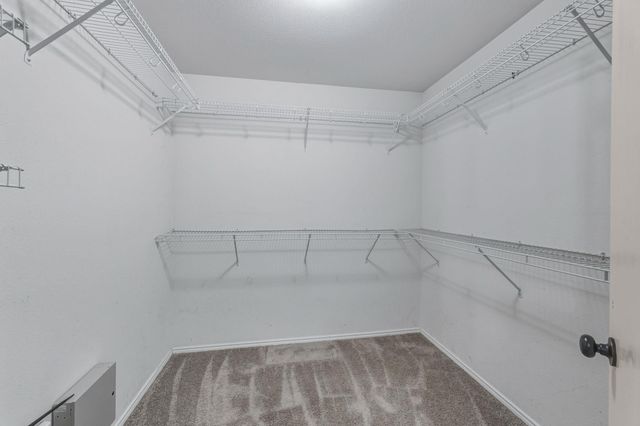 24707 Magnolia FLS, San Antonio, TX 78261