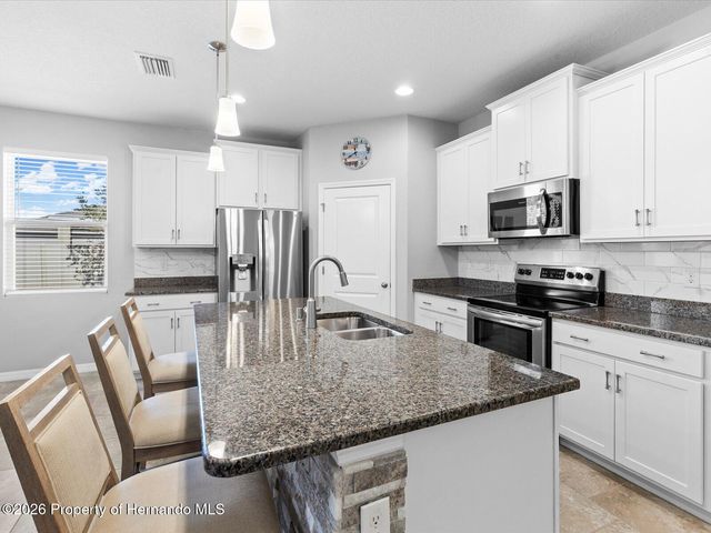 2873 Storybrook Preserve Drive, Odessa, FL 33556