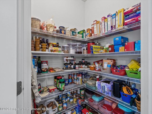 2873 Storybrook Preserve Drive, Odessa, FL 33556