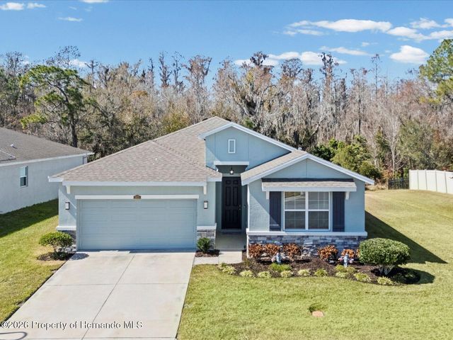 2873 Storybrook Preserve Drive, Odessa, FL 33556