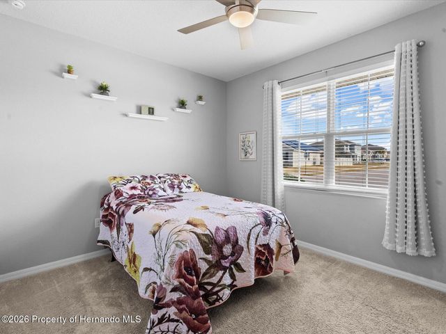 2873 Storybrook Preserve Drive, Odessa, FL 33556