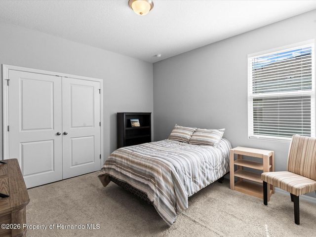 2873 Storybrook Preserve Drive, Odessa, FL 33556