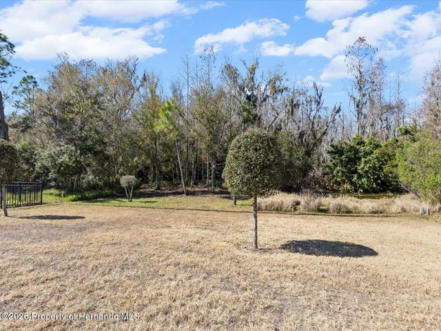 2873 Storybrook Preserve Drive, Odessa, FL 33556