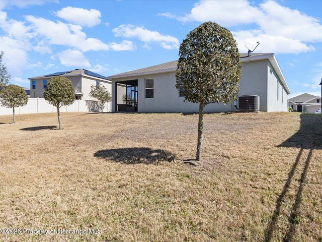 2873 Storybrook Preserve Drive, Odessa, FL 33556