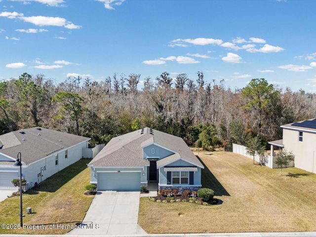 2873 Storybrook Preserve Drive, Odessa, FL 33556