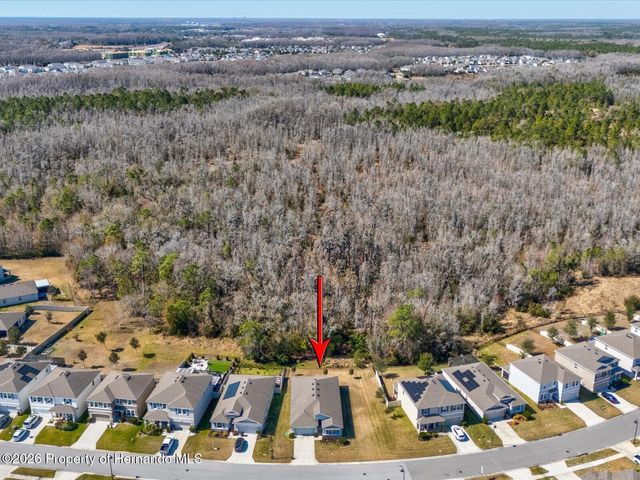 2873 Storybrook Preserve Drive, Odessa, FL 33556