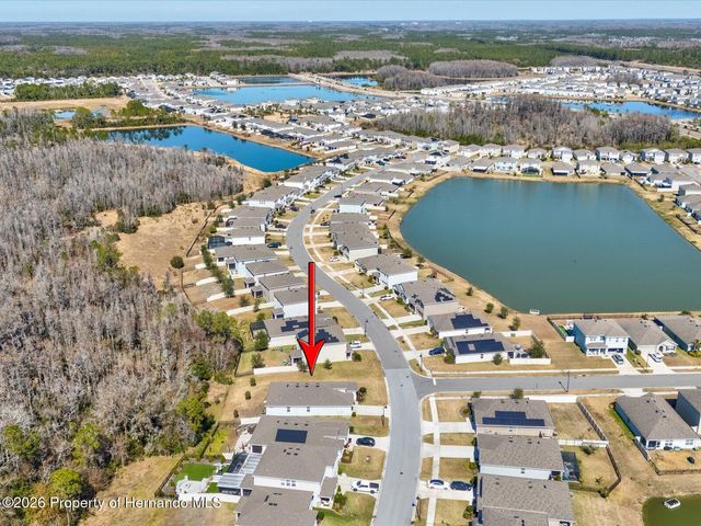 2873 Storybrook Preserve Drive, Odessa, FL 33556