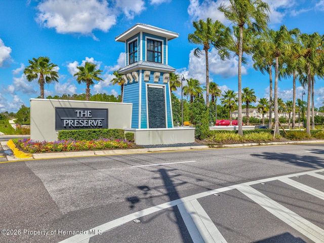 2873 Storybrook Preserve Drive, Odessa, FL 33556