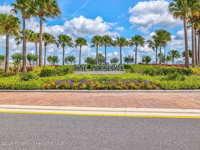 2873 Storybrook Preserve Drive, Odessa, FL 33556