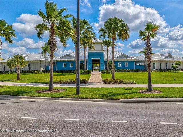 2873 Storybrook Preserve Drive, Odessa, FL 33556