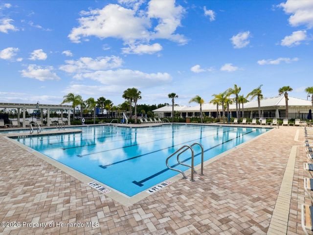 2873 Storybrook Preserve Drive, Odessa, FL 33556