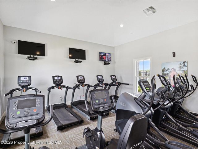 2873 Storybrook Preserve Drive, Odessa, FL 33556