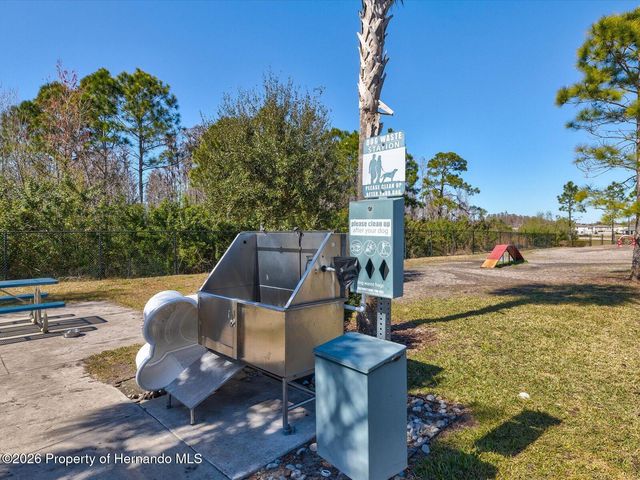 2873 Storybrook Preserve Drive, Odessa, FL 33556