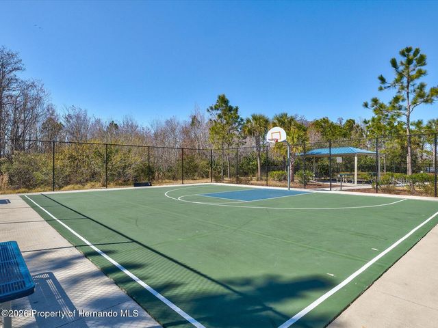 2873 Storybrook Preserve Drive, Odessa, FL 33556