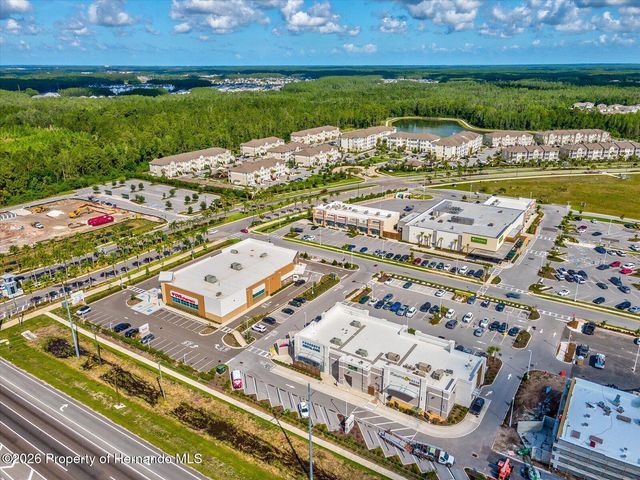 2873 Storybrook Preserve Drive, Odessa, FL 33556