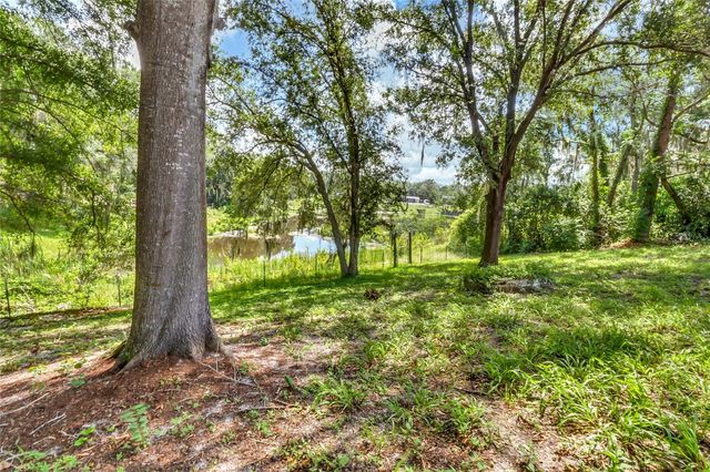 16123 E LAKE BURRELL DRIVE, Lutz, FL 33549