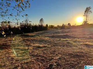 0 COUNTY ROAD 33, Wedowee, AL 36278