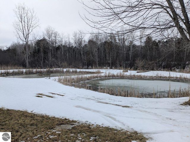 6283 Plant Road, Whittemore, MI 48770