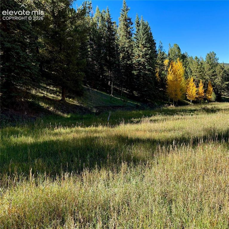 535 Willow Road, Divide, CO 80814 — exterior