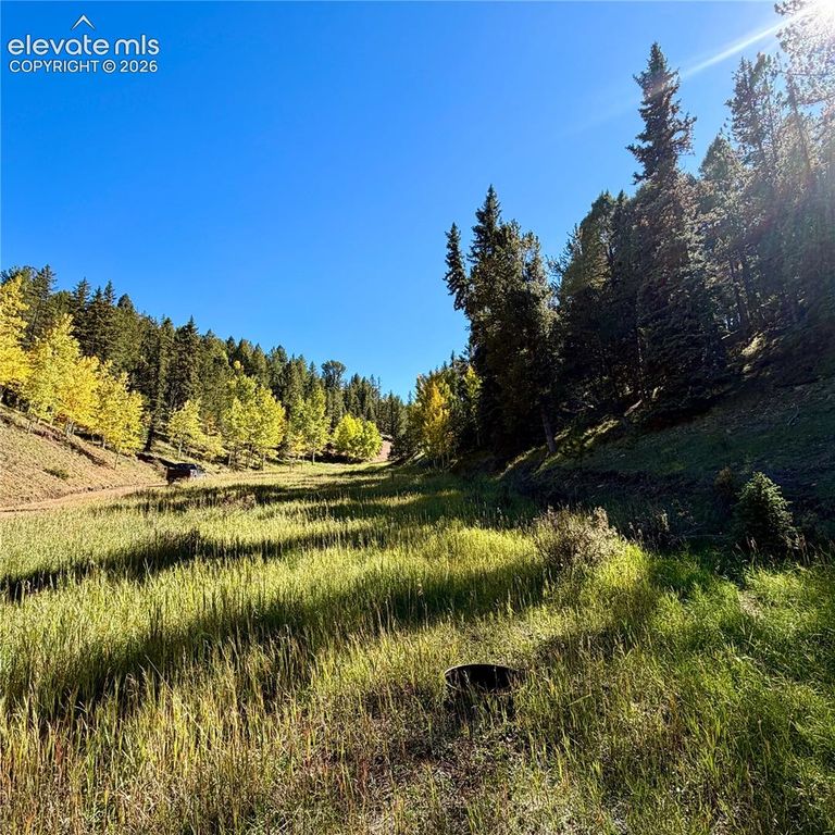 535 Willow Road, Divide, CO 80814 — photo 2